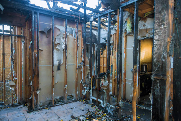 Professional Fire Damage Removal technician working in Galesville, MD